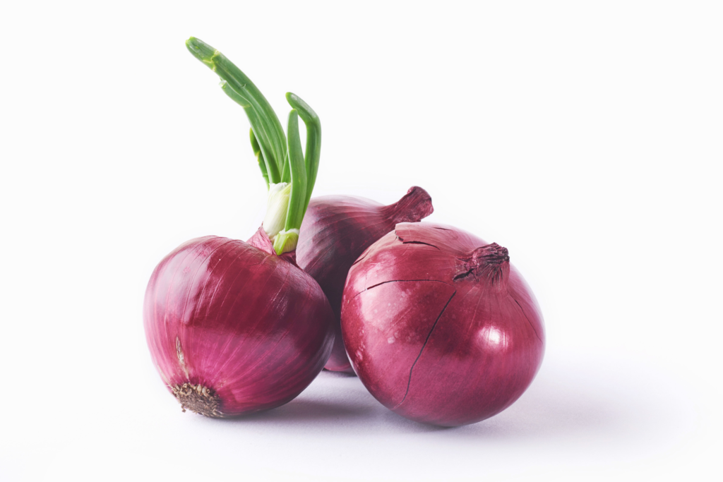 Onion