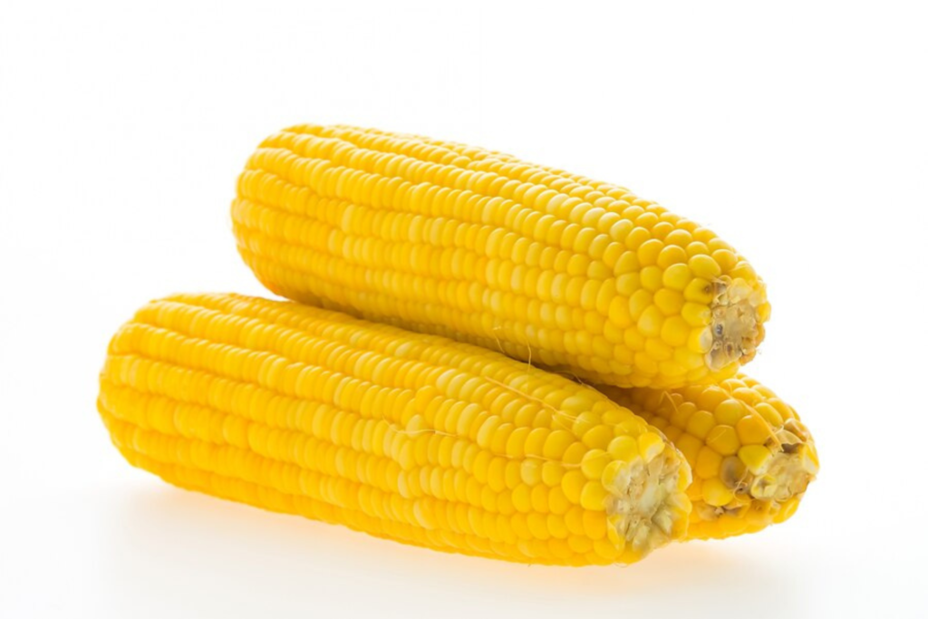 Sweet Corn