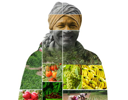 farmer